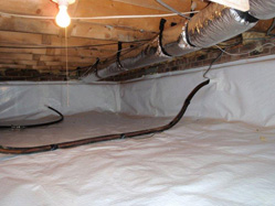 photo of a treated crawl space